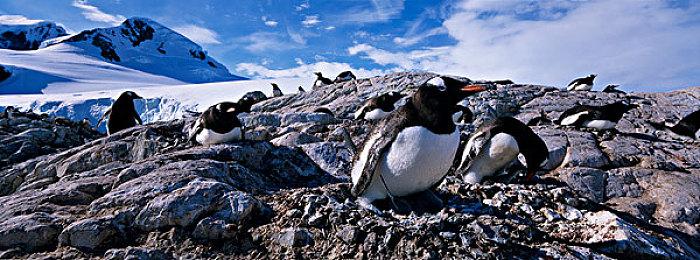 拳头英雄联盟免费格斗游戏《2KXO》宣布新角色金克斯